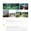 Bitour - Mẫu website planding page giới thiệu về du lịch
