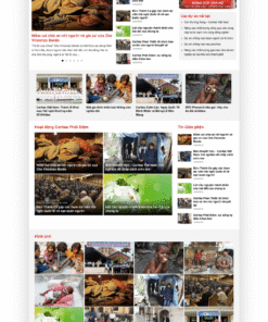 Tin tức 04 - Mẫu website nội dung tin tức
